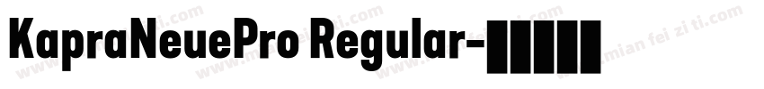 KapraNeuePro Regular字体转换